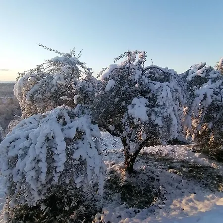 Gasthuis Casamapun - *