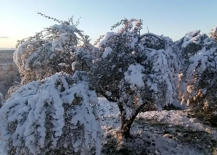 Casa de hóspedes Casamapun - *
